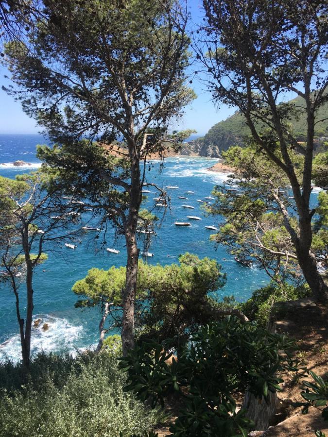 Cap Sa Sal Navy, Begur, Gironaアパートメント エクステリア 写真