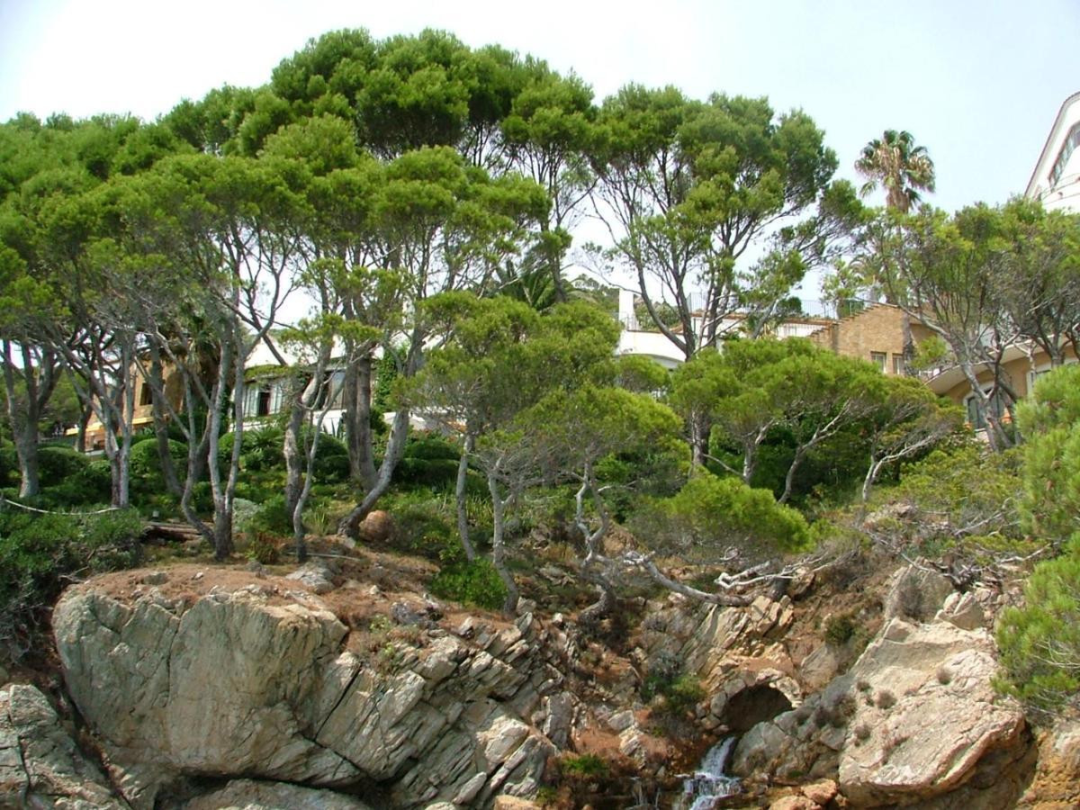 Cap Sa Sal Navy, Begur, Gironaアパートメント エクステリア 写真